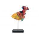 Revell X-ray