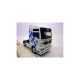 66000/05  Conrad 1:50 MAN TGA 50 Jahre Meisterverein...