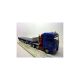 66155/0 CONRAD 1:50 GOLDHOFER SPZ DL6  6-achs mit MAN TGA...