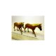 2491 Siku Farmer 1:32 Pferde Horses Chevoux