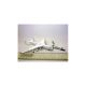 518895 Herpa 1:500 Antonov AN-225 Mriya & Buran Orbiter