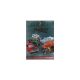 Road Signature Katalog 2007 by Yat Ming 1:24 PKW 1:18