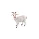 20857 epixx Welt der Tiere "Ziegenbock"