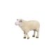20849 epixx Welt der Tiere "Schaf"