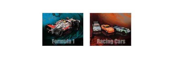 Minichamps Rennsport Formel 1