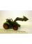 319212 Norev 1:87 Claas AXION 850 Traktor Frontlader