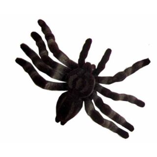 49465 02 FLISKA SPINNE Ungeziefer Halloween Dekoration Vogelspinne 4-8 CM