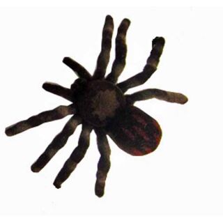 49465 03 FLISKA SPINNE Ungeziefer Halloween Dekoration Vogelspinne 4-8 CM