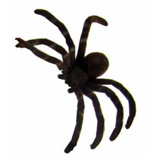 49465 04 FLISKA SPINNE Ungeziefer Halloween Dekoration Vogelspinne 4-8 CM
