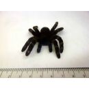 49465 06 FLISKA SPINNE Ungeziefer Halloween Dekoration Vogelspinne 4-8 CM