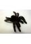 49465 06 FLISKA SPINNE Ungeziefer Halloween Dekoration Vogelspinne 4-8 CM