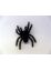 49465 06 FLISKA SPINNE Ungeziefer Halloween Dekoration Vogelspinne 4-8 CM