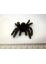 49465 06 FLISKA SPINNE Ungeziefer Halloween Dekoration Vogelspinne 4-8 CM