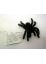 49465 06 FLISKA SPINNE Ungeziefer Halloween Dekoration Vogelspinne 4-8 CM