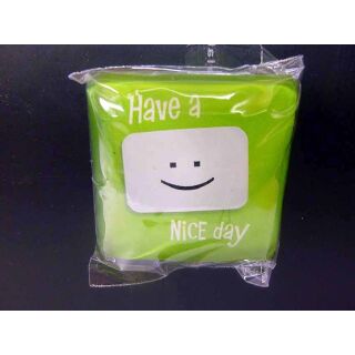 X-press Yourself Magnete hell grün HAVE NICE day Cool MAGNETS Face Smileys COOL MAGNETS  Magnet Kühlschrank