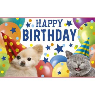Geburtstagteelicht Geburtstag Geburtstagkarte Kerze Happy Birthday Hund/Katze