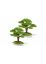 5590 Siku Laubbäume Bäume Baum