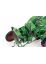 450022800 Schuco 1:18 Deutz F1 M414 grün/rot