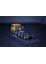 32-0079 IMC 1:50 Scania P143E 10x4/450 Holtrop Van der Vlist Resin Truck