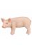 20852 epixx Revell Welt der Tiere "Schwein Ferkel"